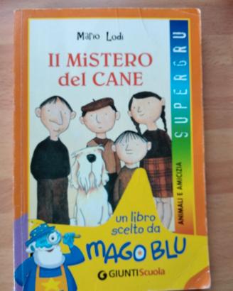 Il mistero del cane