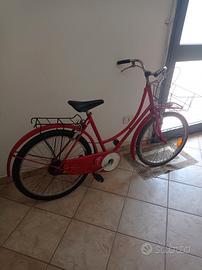 Bici completa di portapacchi