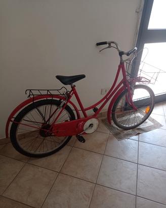 Bici completa di portapacchi