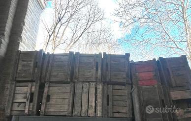 cassette in legno da uva