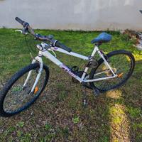 Bicicletta da donna/ragazza