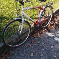 Bicicletta da uomo
