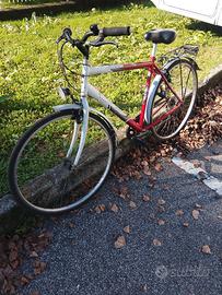 Bicicletta da uomo