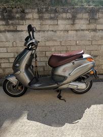 Gulliver 50