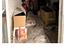 Immagine 29