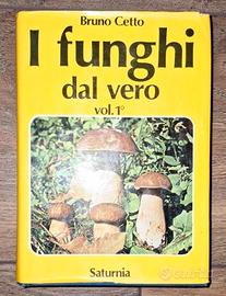 Funghi dal vero vol.1