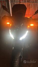 Xadv 2020
