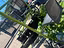 Immagine 8