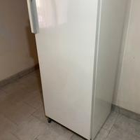 Congelatore a colonna