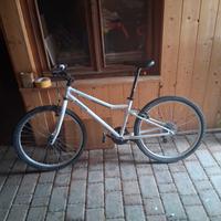 bicicletta riverside