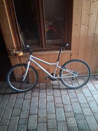 bicicletta riverside