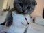Immagine 1