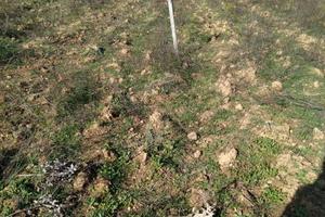 Terreno area servizi (Zona Cittadella Universit.)