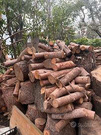 Pino marino legna per hobby e fai da te