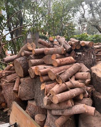 Pino marino legna per hobby e fai da te