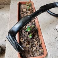 manubrio bici in carbonio areo