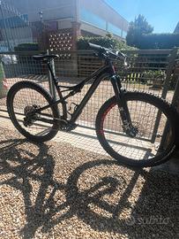 Specialized camber expert.