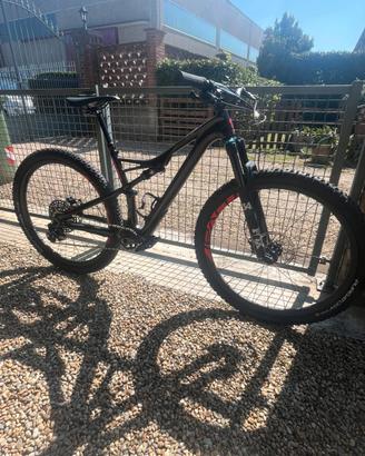 Specialized camber expert.