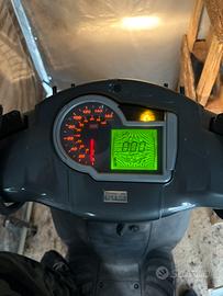 Agility sportcity 2009