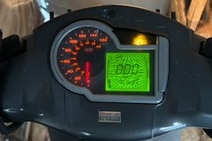 Agility sportcity 2009