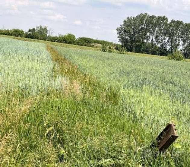 Immobile in asta di 24326 m² a Remedello - Altro