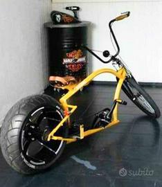Bici Custom Pezzo unico al mondo