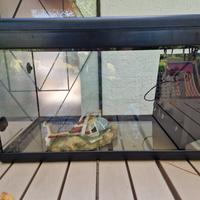 Acquario completo