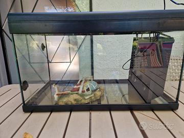 Acquario completo