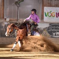 Reining Mare for Sale