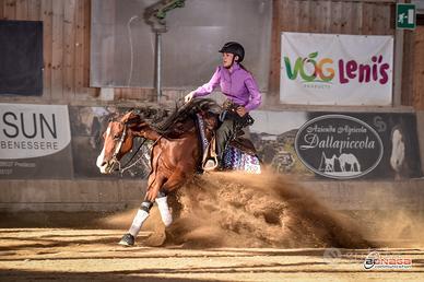 Reining Mare for Sale