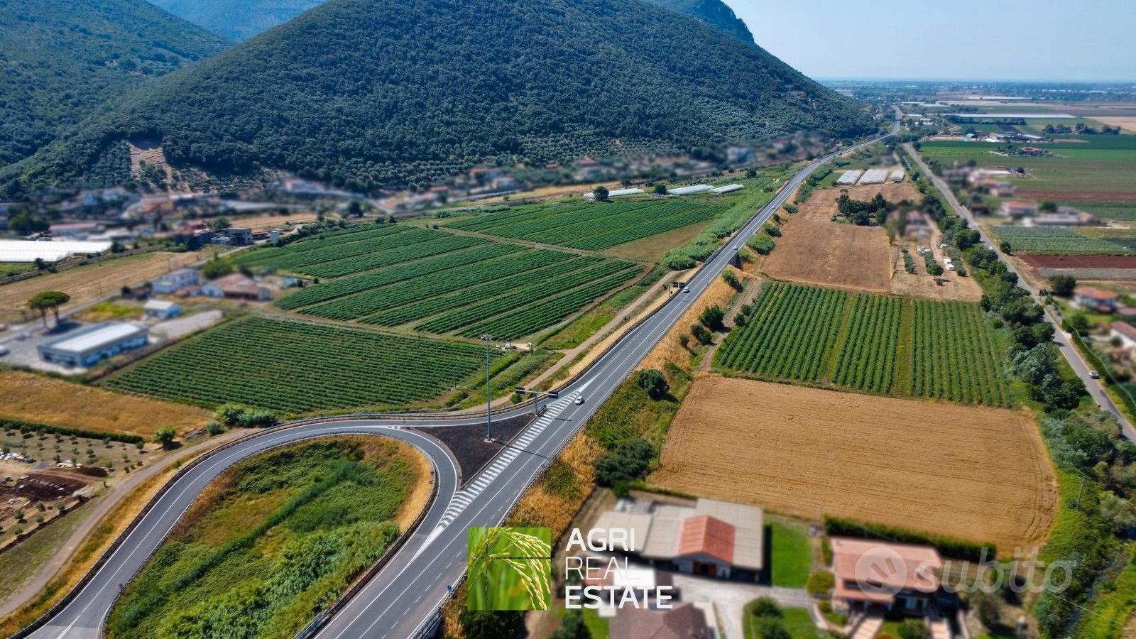 Terreno agricolo pianeggiante di 10 ettari - Vista 3