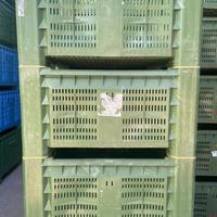 Cassoni/bins in plastica