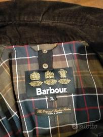 Barbour Verde