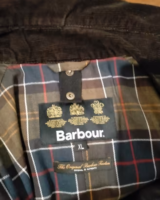 Barbour Verde