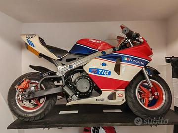 Minimoto da corsa KXD