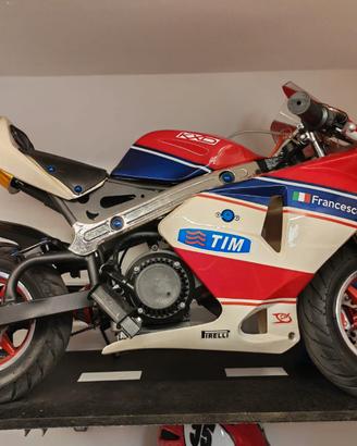 Minimoto da corsa KXD