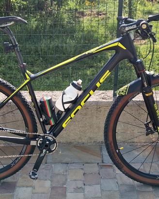 Mtb focus raven max