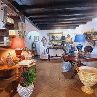 Negozio Milazzo [AFLC003ACG]