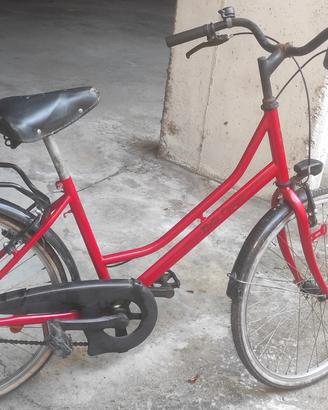 bici 24"
