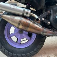 marmitta Leo vince TT per Minarelli verticale 