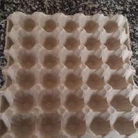 Contenitori per uova di gallina