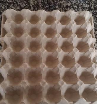 Contenitori per uova di gallina
