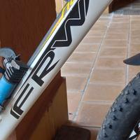 Mtb FRW