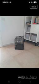 kennel cane piccola taglia 