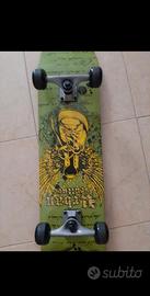 Skateboard professionale 