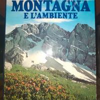 La montagna e l'ambiente