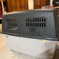 Kennel 