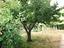 Immagine 21
