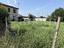 Immagine 7