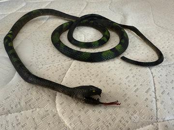 Serpente giocattolo lungo circa 120cm